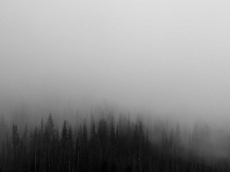 世界的尽头<br>warnesu.cn 是暴风雪的故乡